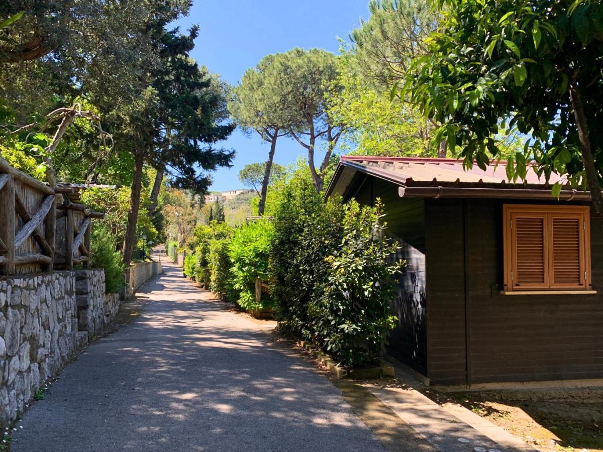 Village Camping Santa Fortunata - Campogaio Sorrento Exterior photo