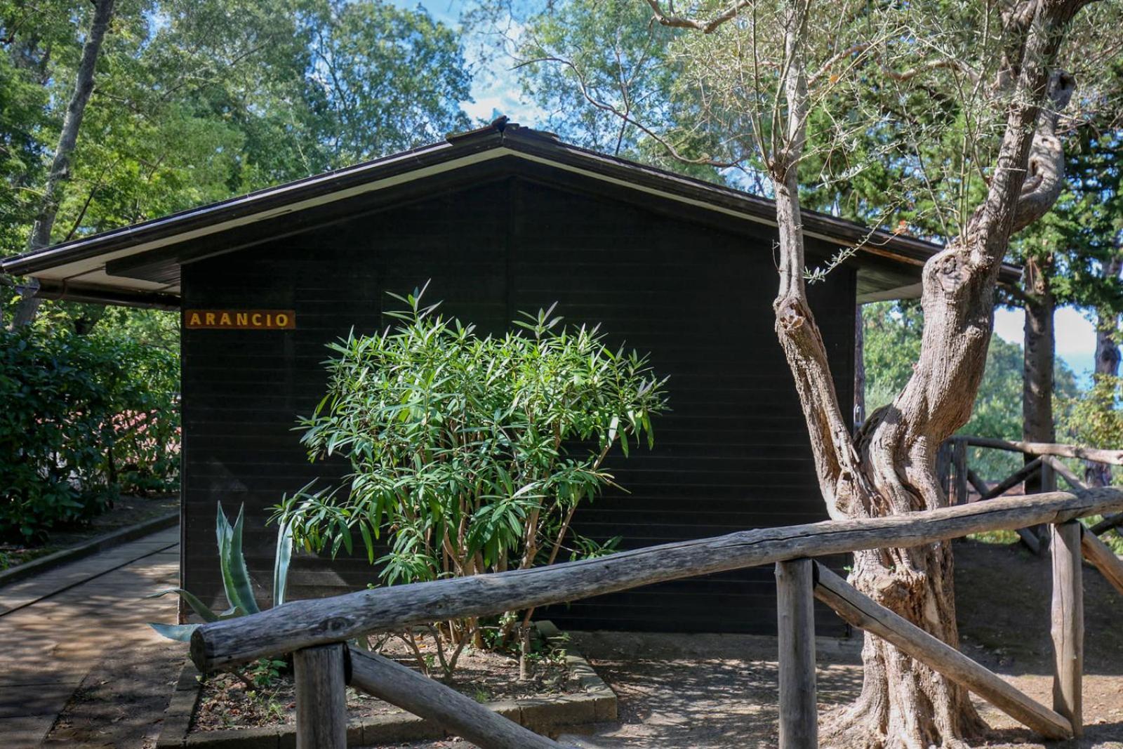Village Camping Santa Fortunata - Campogaio Sorrento Exterior photo