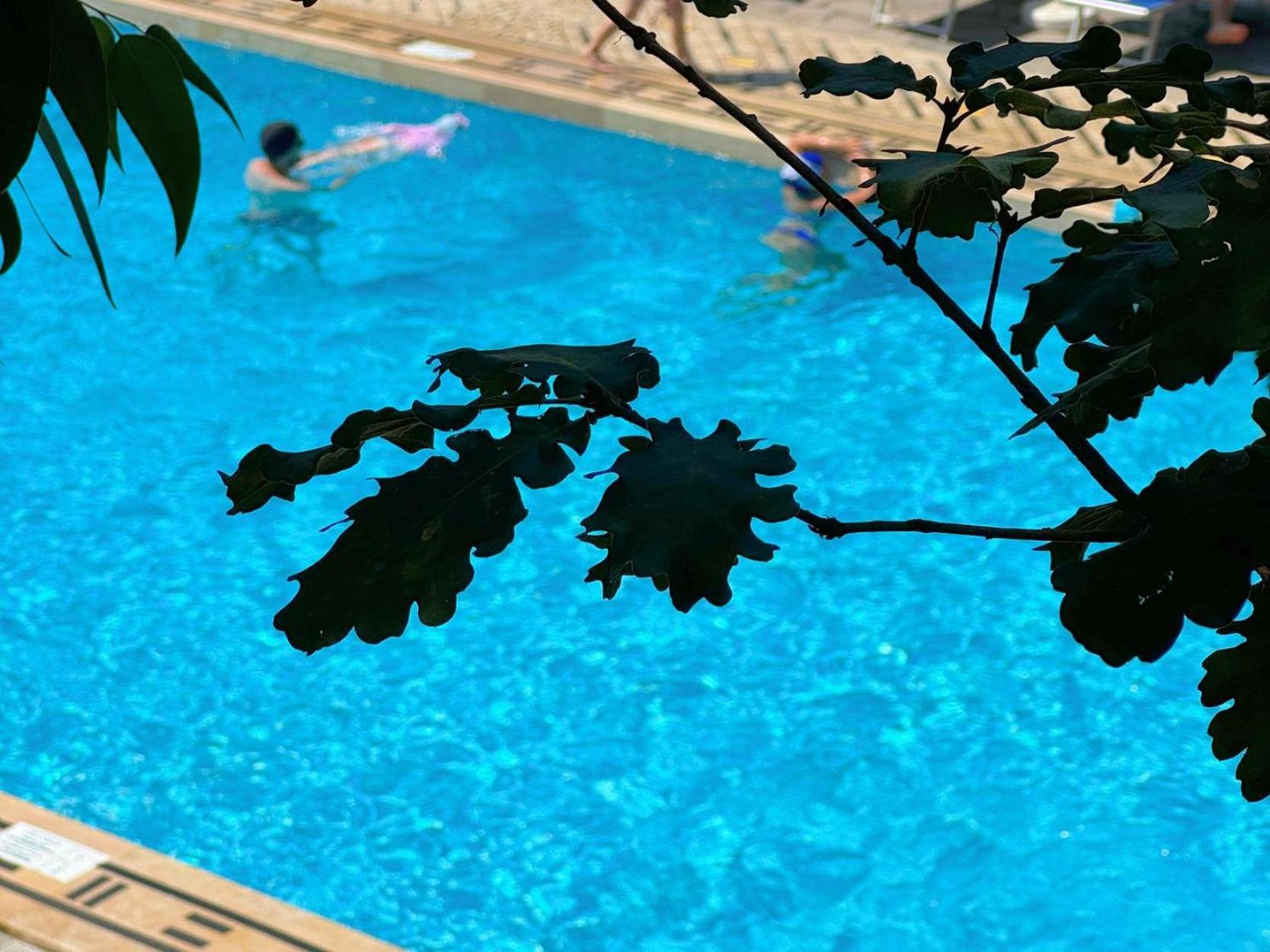Village Camping Santa Fortunata - Campogaio Sorrento Exterior photo